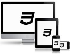 Un site web peut être vu sur plusieurs appareils