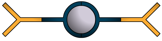 Tecton avec un atome de métal au centre
