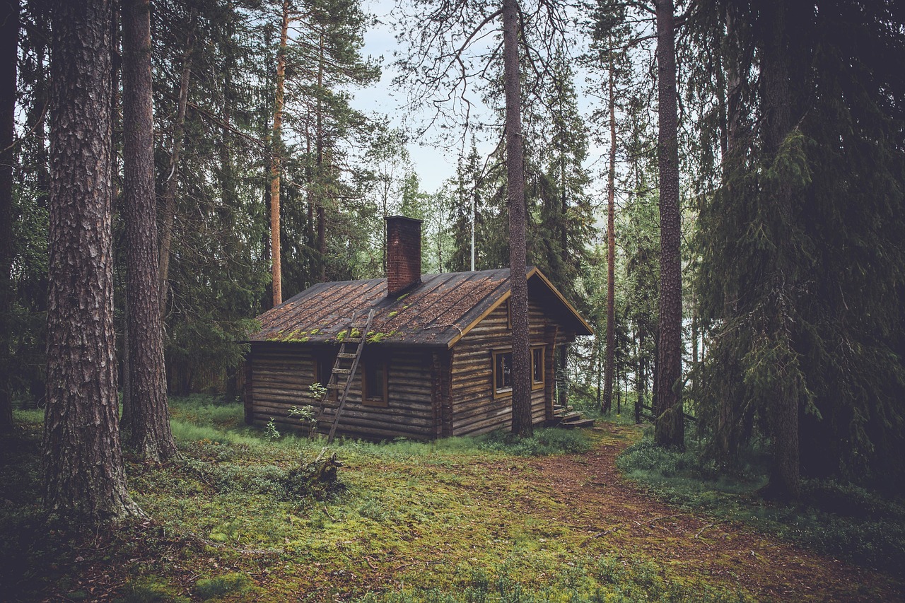 Cabane dans les bois
