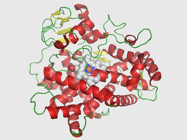 À titre d'exemple, voici une protéine qui porte le doux nom de CYP2D6. C'est une protéine du foie qui a de très nombreux rôles parmi lesquels transformer la codéine (un antidouleur) en morphine (wikipedia).