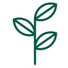 Logo de [Signet] Meta publie Sapling, un nouveau SCM