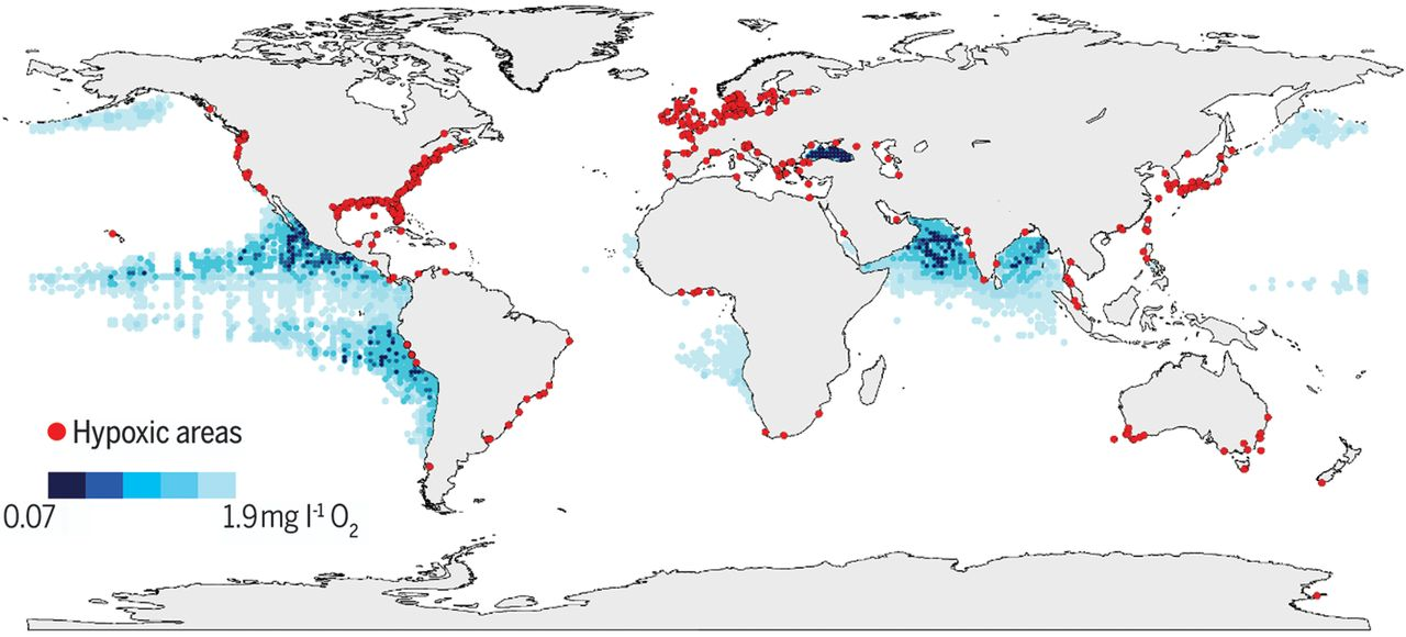 Carte montrant de nombreuses zones mortes sur la côte Est des États-Unis, dans le Golfe du Mexique et dans les mers du Nord et baltiques, ainsi qu'en mer de Chine.