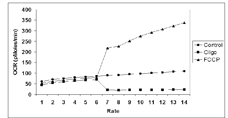 Mesure du taux de consommation d'oxygène par la mitochondrie (OCR) après ajout de FCCP. (Source : T. Reyes-Izquierdo, L. E. Hammond, R.S Sikorski, B.Nemzer and Z. Pietrzkowski. ACUTE EFFECT OF HH2O ON OXYGEN CONSUMPTION RATE, INTRACELLULAR ATP AND ROS IN FRESHLY ISOLATED HUMAN PERIPHERAL BLOOD MONONUCLEAR CELLS. 2011. *Current Topics in Nutraceutical Research.*)