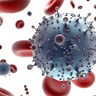 Logo de Immunologie et détection du non-soi