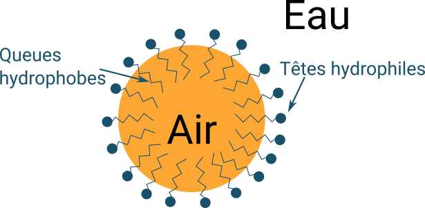 Stabilisation des bulles d'air : les tensioactifs (en bleu) possèdent une tête hydrophile qui va aller dans l'eau et une queue hydrophobe qui chercher un milieu sans eau (huile, air...). Le film ainsi crée par les tensioactifs stabilise la bulle d'air.