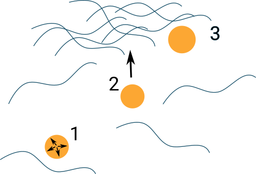 Le gonflement du soufflé. En 1, de l'eau s'évapore, une bulle se forme. En 2, une bulle monte à travers la pâte liquide. En 3, une bulle est bloquée par des protéines coagulées imperméable.