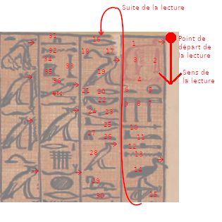 Lecture en colonnes. Les flèches notent la direction du regard des hiéroglyphes ; les numéros indiquent l'ordre de lecture des hiéroglyphes. Comme les hiéroglyphes regardent vers la droite, on lit de droite à gauche, et de bas en haut.