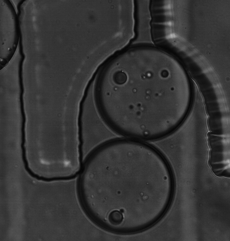 Droplets image (Eau & Huile)